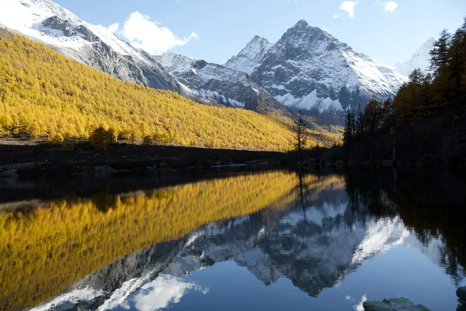 Snow-covered mountains and a band of golden autumn forest reflected across still water